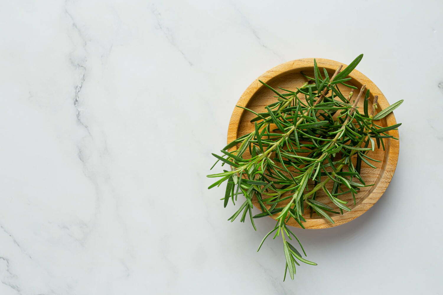 Infusión de Salvia: Un Remedio Natural para Aliviar el Dolor Menstrual