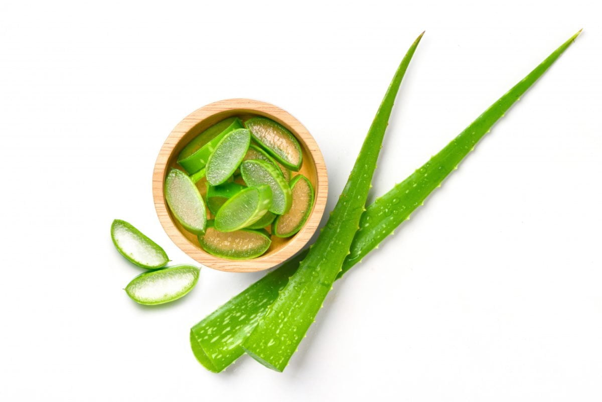 aloe vera trucos de belleza