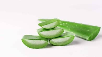 propiedades del aloe vera