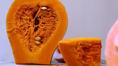 Calabaza brillante sobre un fondo blanco para tu imaginación lugar para texto